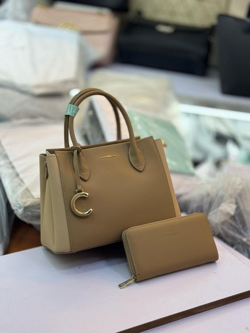 women's handbag.